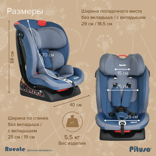 Автокресло группы 0+/1/2 ( 0-25 кг) Pituso Ruente 