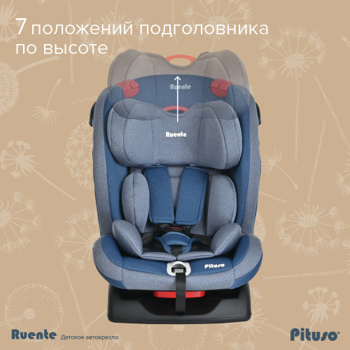 Автокресло группы 0+/1/2 ( 0-25 кг) Pituso Ruente 