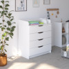 Комод раскладной Pituso Wood/ 804 ПВХ с шариковыми направляющими 4 ящика