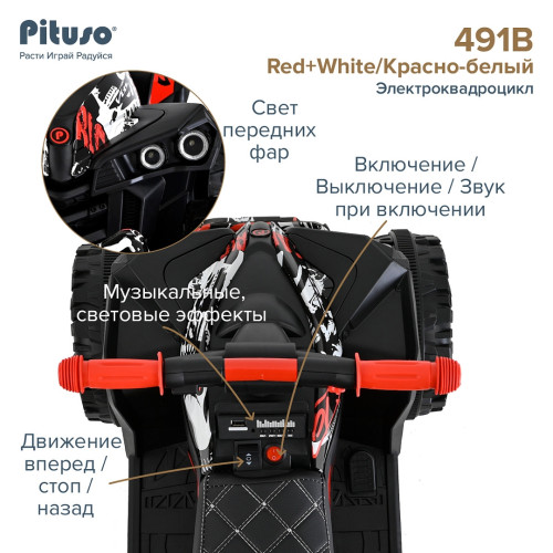 PITUSO Электроквадроцикл 491B