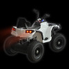 Электроквадроцикл Zhehua 0906