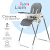 Стульчик для кормления iLovi Liam Gray