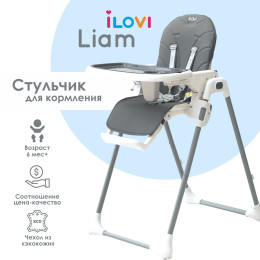Стульчик для кормления iLovi Liam Gray