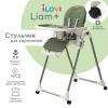 Стульчик для кормления iLovi Liam Plus Green